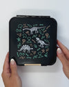 MontiiCo - BENTO THREE LUNCH BOX - Dinosaur Land