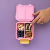 Little Lunch Box Co - BENTO CUPS SQUARE